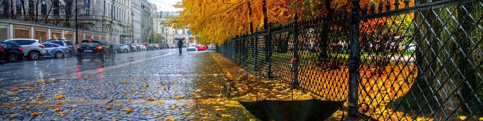Екатерининский парк, дождь, осень, зонт, Санкт Петербург, листья, забор